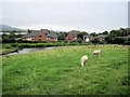 Pastoral scene overlooking canal