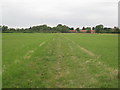 Footpath to All Saints church, Goxhill