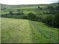 Pasture beside Cowstone Gill