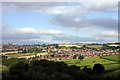 View over Hemingfield