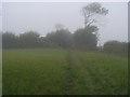 Footpath to Wonwell Beach