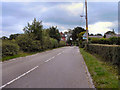 SJ8177 : Mill Lane, Great Warford by David Dixon