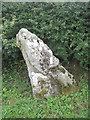 SJ2001 : Maen Beuno standing stone by John Firth
