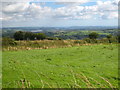 Pasture at Rising Sun Farm