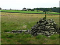 Lumley Moor Cairn