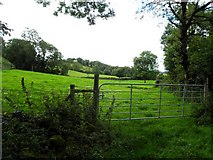 H5928 : Killycoghil Townland by Kenneth  Allen