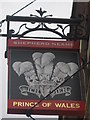 Prince of Wales Pub Sign (2)