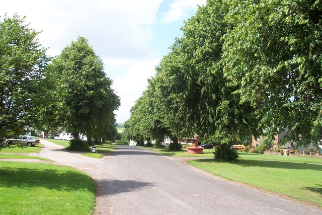 Dufton's avenue of limes