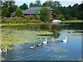 Wingerworth Lido and a pub called Smithy Pond