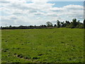 Farmland near Woodthorpe Grange