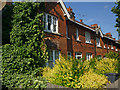 Terraced cottages, North View Road, Hornsey, North London