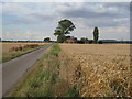 View towards Ox Pasture House