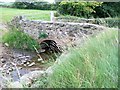 Field access bridge at Gwyndy