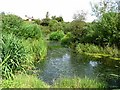 Pond, High Head Sculpture Valley