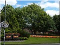 Floral display, Clay Cross