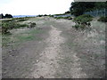 Beside Fort Cumberland towards Eastney Marina