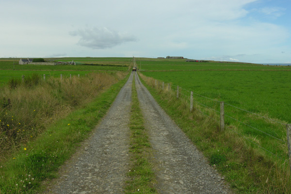 Shapinsay, farm track to Feastown
