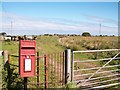 The path, the post box, the kissing gate and a herd of cows