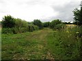 Bridleway north to Fittleworth Wood