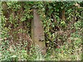 Disused pump at Branston