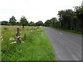 B36, Dernawilt Road at Cortrasna