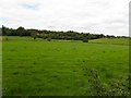 Killylifferbane Townland