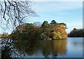 Hartsholme Park Lake Island