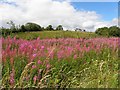 Ervey Townland