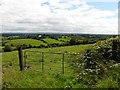 Eshekerin Townland