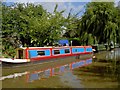 Summer on the Shropshire Union Canal