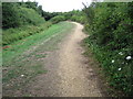 Footpath round Little Testwood Lake