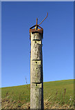 NT3923 : A post at Helmburn Hill by Walter Baxter