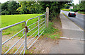 Surviving fields, Banbridge (8)