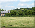 2010 : Houses in Park Pale