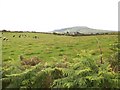 Pastureland west of the Llaniestyn road