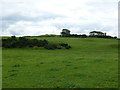 Radio Transmitter Mast, Kirkcudbright