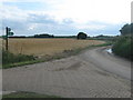 Saxon Shore Way on Reynolds farm Lane