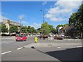 Horse fair across the road