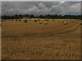 Strawstacks and bales near Strood Farm