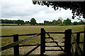 Footpath towards Guildenhurst