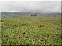 NY7733 : Moorland above The River Tees by Les Hull