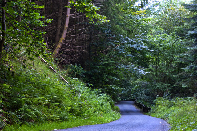 A steep forest road approaching Coed-y-wern