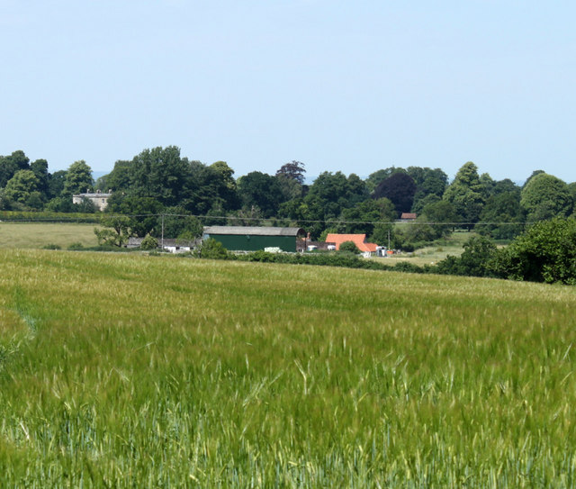 2010 : Field of barley near Longhedge