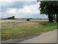 Harvested fields north of Ketteringham Road