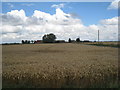 View towards Pasture Farm