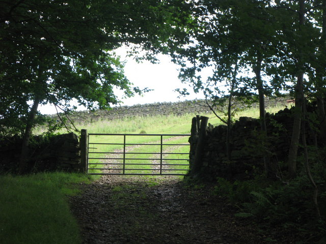 Gate on the track between Langley Castle and Elrington