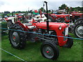 SH8070 : 1959 Massey Ferguson FE35 Tractor by Richard Hoare
