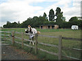 Paddocks near The Elms