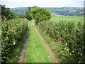 Footpath towards Park Farm