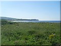 View towards Greenan from Seafield